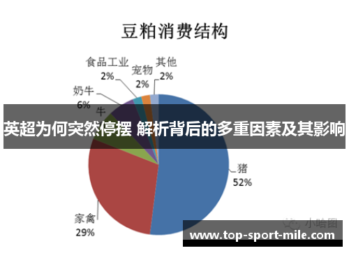 英超为何突然停摆 解析背后的多重因素及其影响