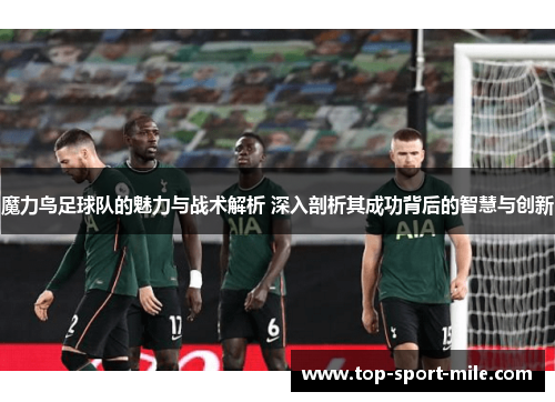 魔力鸟足球队的魅力与战术解析 深入剖析其成功背后的智慧与创新