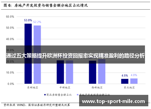 通过五大策略提升欧洲杯投资回报率实现精准盈利的路径分析