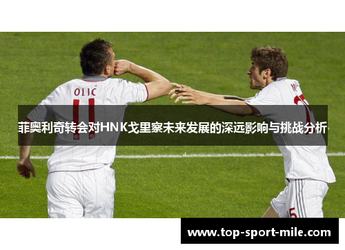 菲奥利奇转会对HNK戈里察未来发展的深远影响与挑战分析 菲奥利奇转会对HNK戈里察未来发展的深远影响与挑战分析